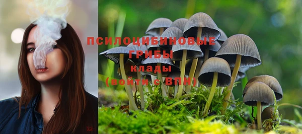 каннабис Богданович